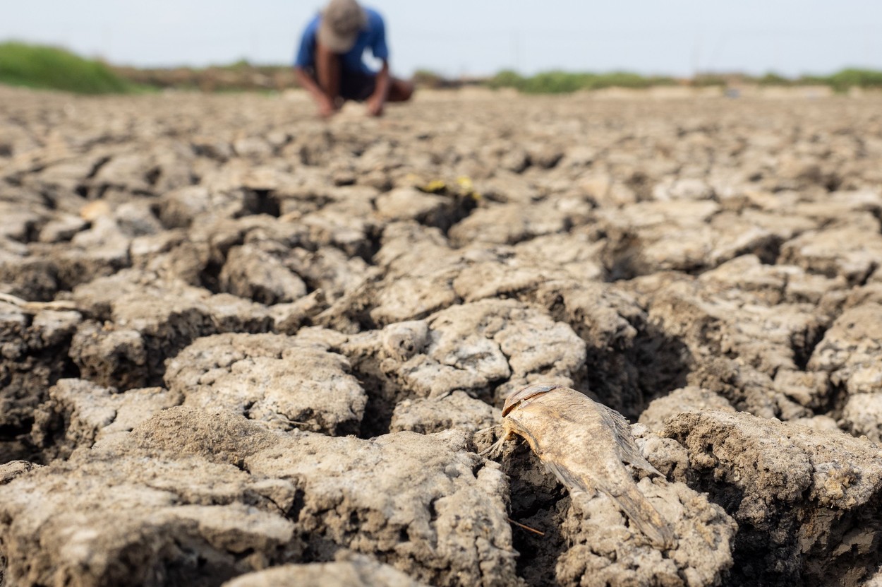 Avertismente sumbre ale experților despre &bdquo;super El Nino&rdquo;: fenomenul ar putea crește prețurile alimentelor timp de ani de zile