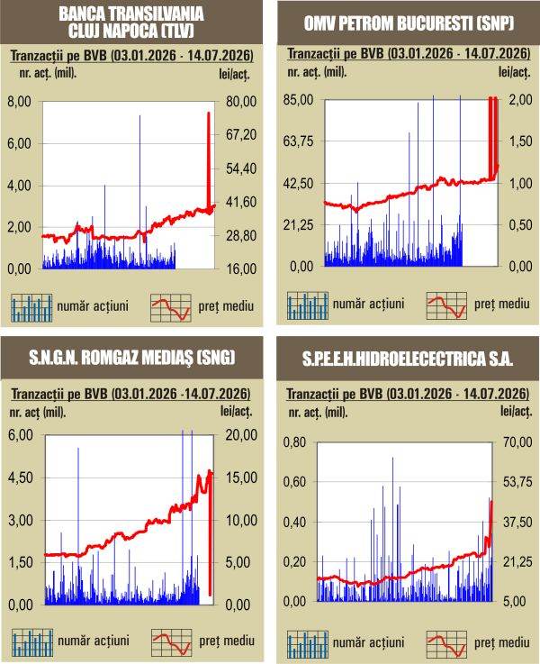BVB Scaderi pe linie pentru indici