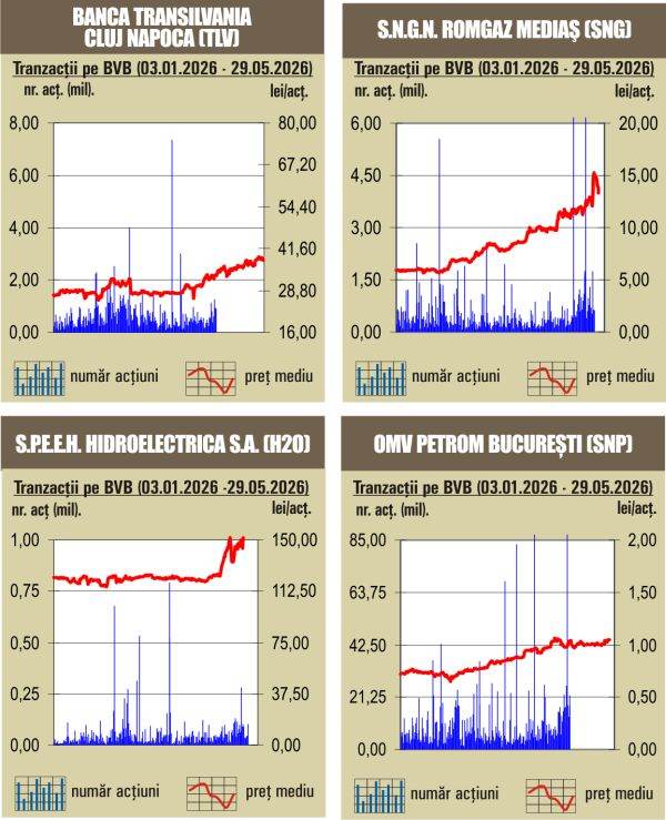BVB Scaderi pentru indici