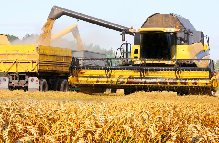 CITR: Insolvenţele din agricultură au crescut cu aproape 80% &icirc;n S1/2026. Numărul companiilor cu active de peste 4 mil. euro intrate &icirc;n insolvenţă a urcat de la una la 19