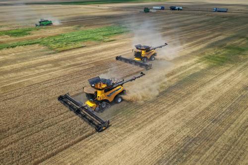 CITR - Insolvenţele din agricultură s-au dublat &icirc;n prima jumătate a anului, 40% dintre firmele mari au probleme, din cauza variaţiilor de preţuri la cereale. Bacău, Hunedoara, Vaslui, zone vulnerabile