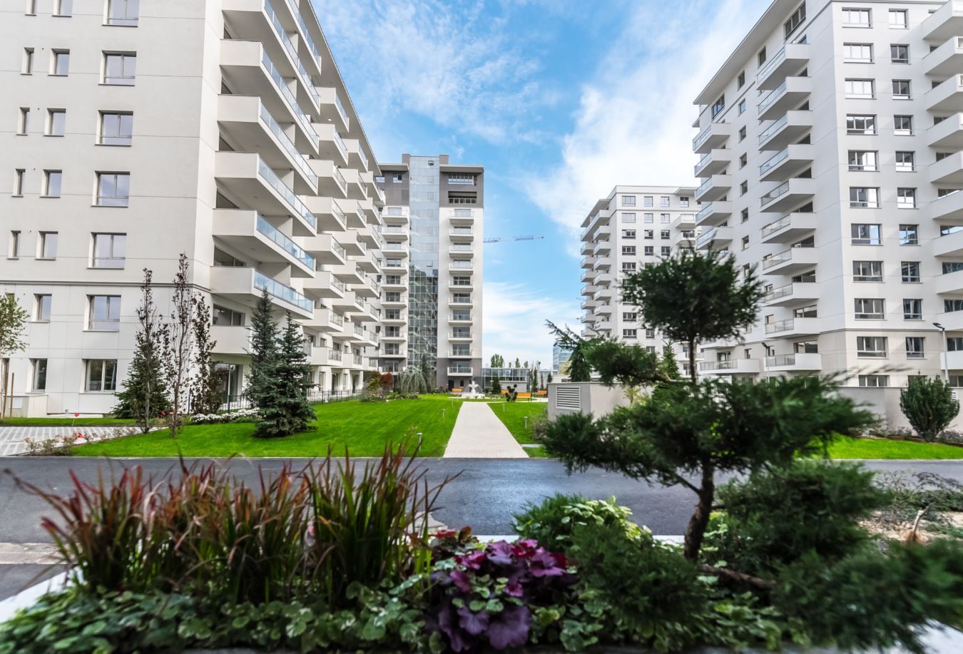 Cushman & Wakefield Echinox: Creştere anuală de 15% a finanţărilor pentru sectorul imobiliar comercial. Rată a creditelor neperformante de 6,2% şi finanţări individuale de p&acirc;nă la 400 milioane euro