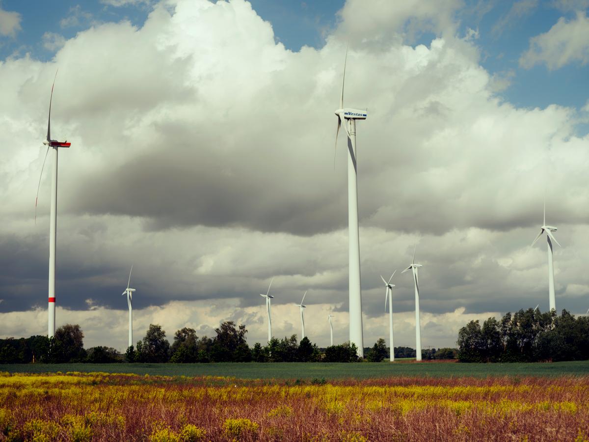 Eurowind Energy Rom&acirc;nia &icirc;ncepe construcția parcurilor eoliene Frumușița, Vector și Pecineaga Nord-Est