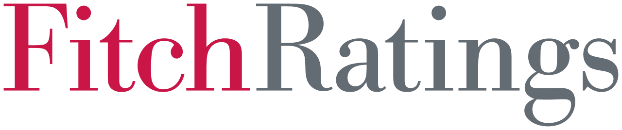 Fitch: &Icirc;ngrijorările legate de cheltuielile masive AI şi riscul unei corecţii reprezintă riscuri globale majore de credit