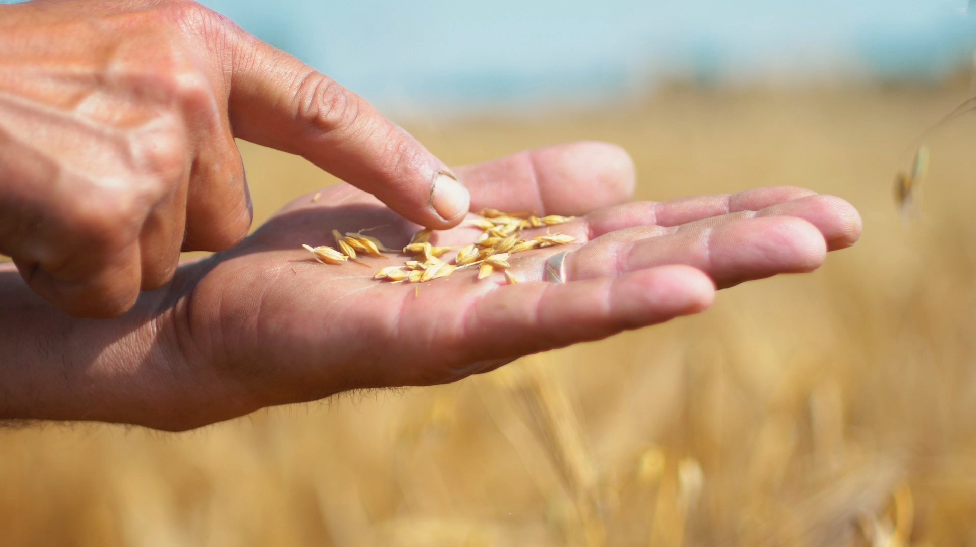 Fondul de investiţii GEM Global Yield, cu sediul &icirc;n New York, intră &icirc;n acţionariatul Norofert. Dezvoltarea pe pieţele din Statele Unite şi Brazilia, prioritară