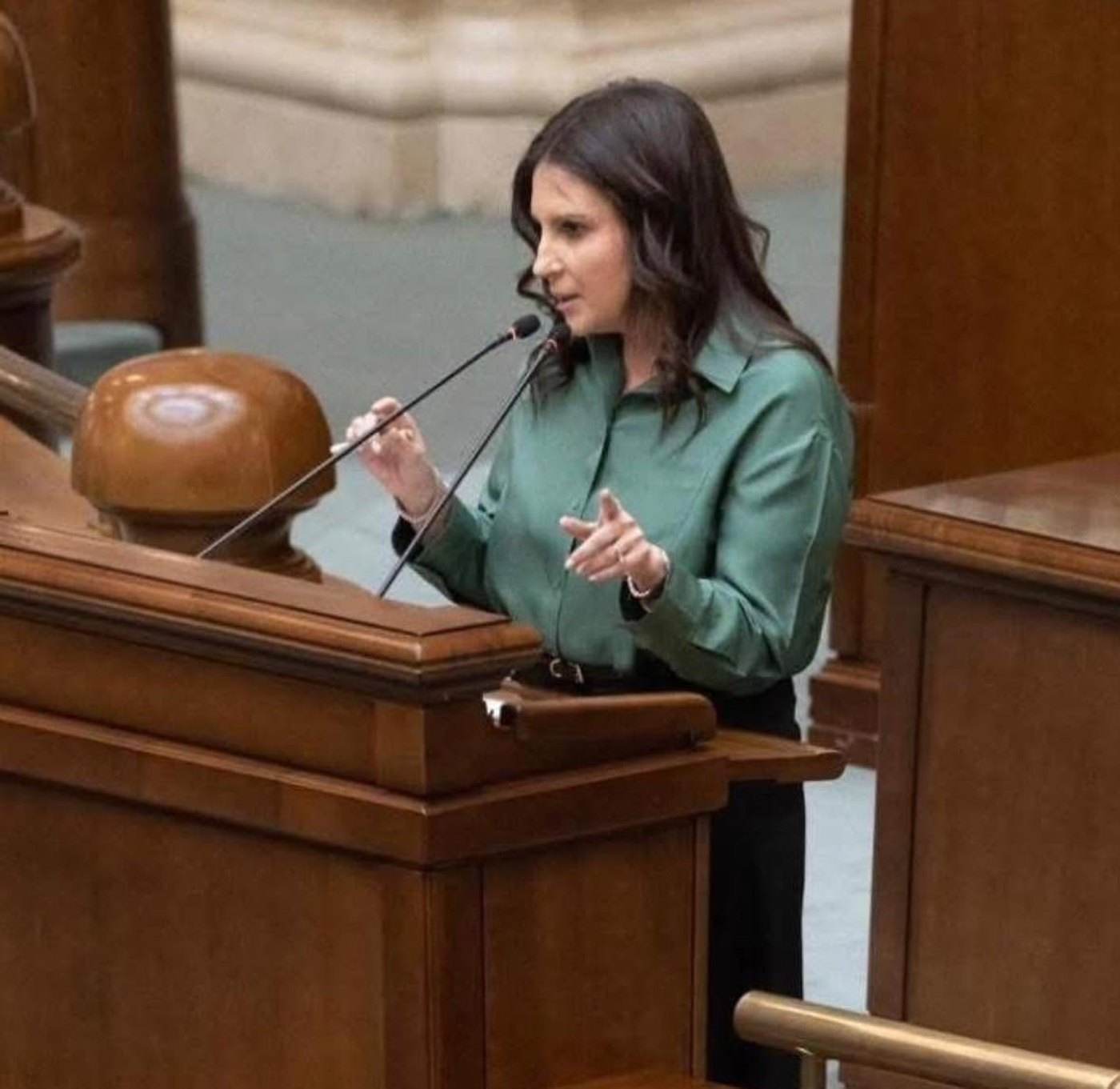 Gabriela Horga: Guvernul Ilie Bolojan propune reguli clare pentru companiile publice