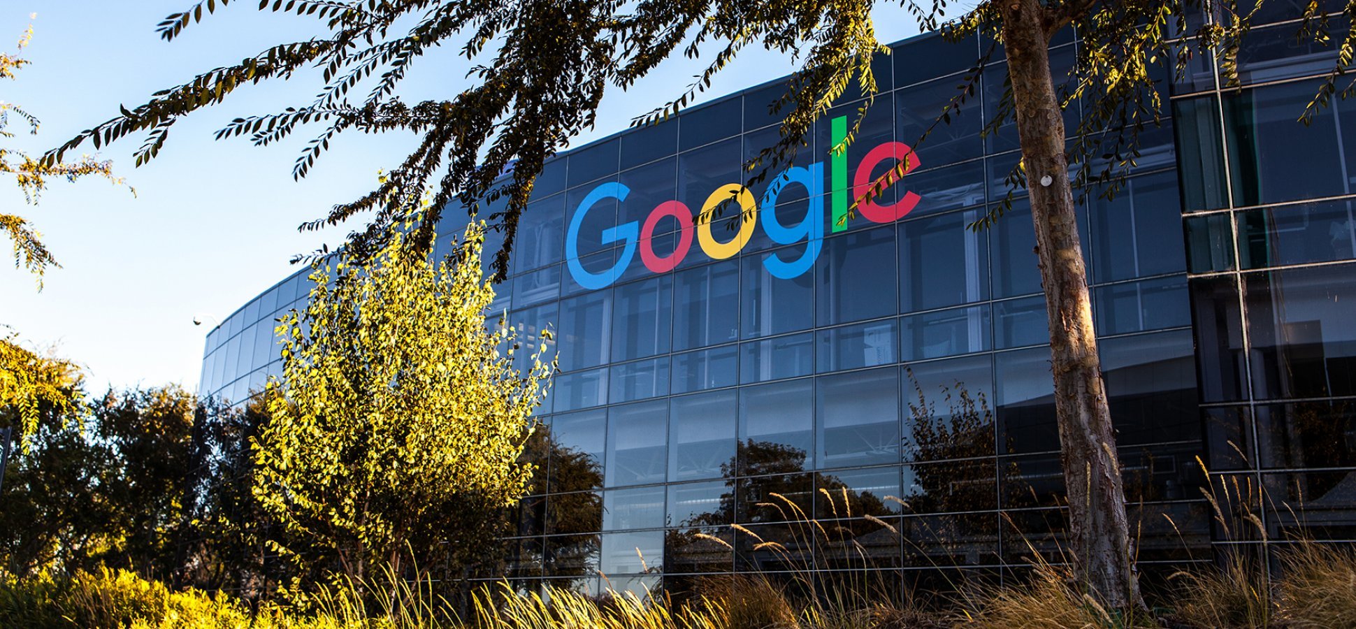 Google &icirc;şi dezvoltă un nou cip propriu de inteligenţă artificială