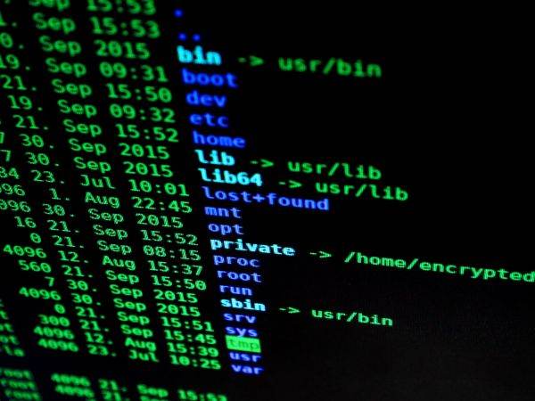 Meta intră agresiv pe piaţa AI pentru programare