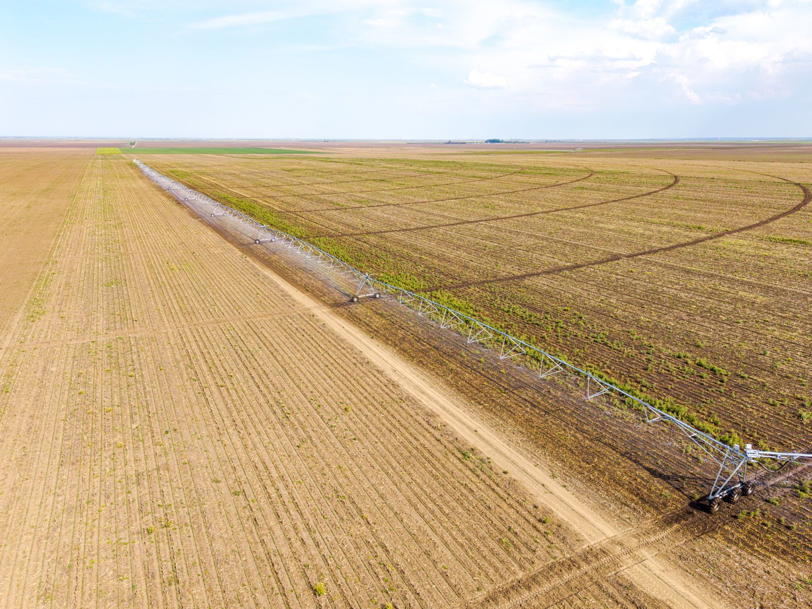 Nivel de risc fără precedent &icirc;n ultimii ani. Criză &icirc;n agricultura din Rom&acirc;nia: insolvențele se dublează &icirc;n S1. Peste 40% dintre companiile mari din sector sunt &icirc;n risc financiar