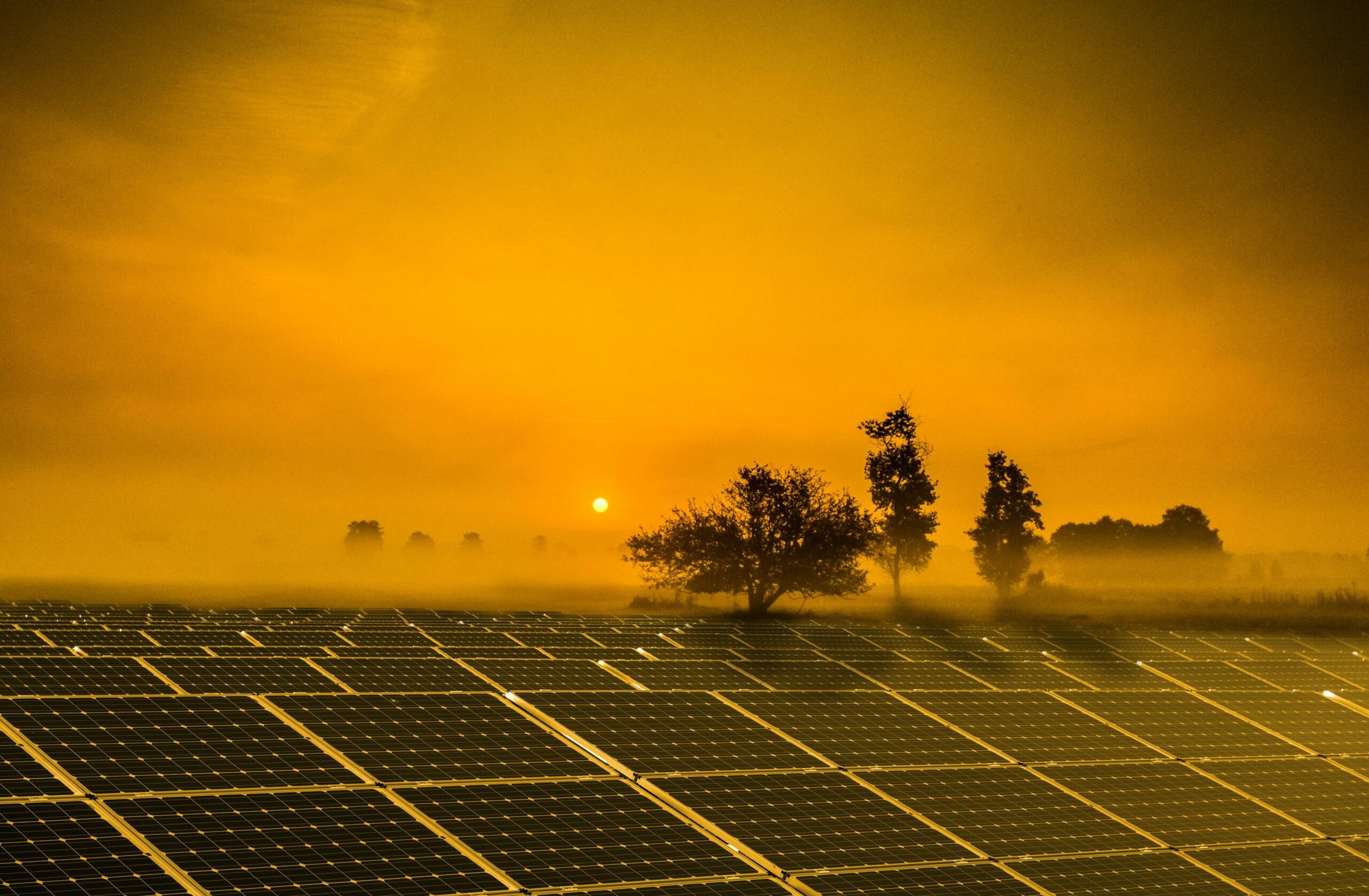 Premieră &icirc;n SUA: panourile fotovoltaice au produs mai multă energie dec&acirc;t cărbunele