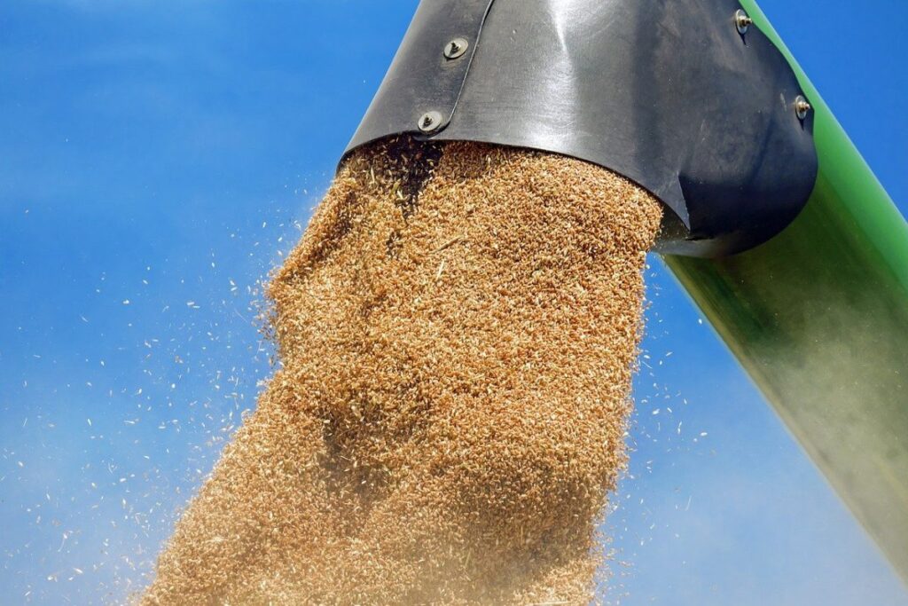 Proprietarii de nave au oprit intrarea vapoarelor &icirc;n porturile ucrainene de la Marea Neagră pentru exporturi de produse agricole din cauza atacurilor Rusiei