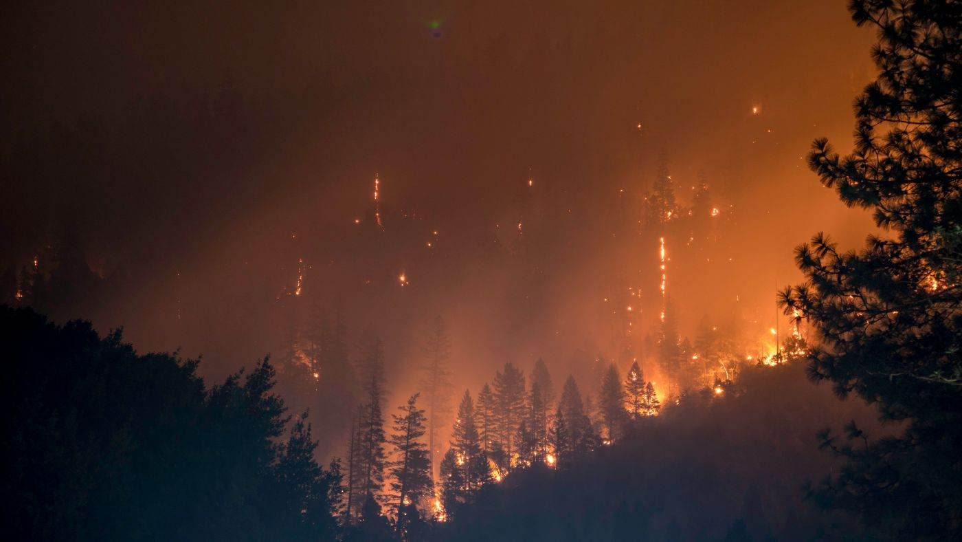 Reuters: Trump i-a transmis premierului Canadei că trebuie să ţină sub control incendiile de vegetaţie