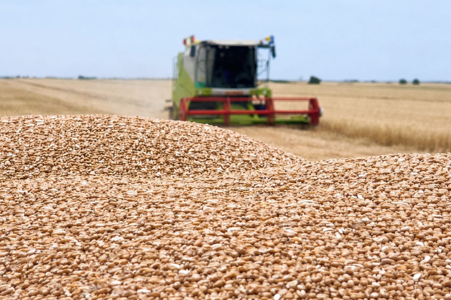Rom&acirc;nia și Bulgaria impulsionează producția de cereale a estului UE spre un record istoric