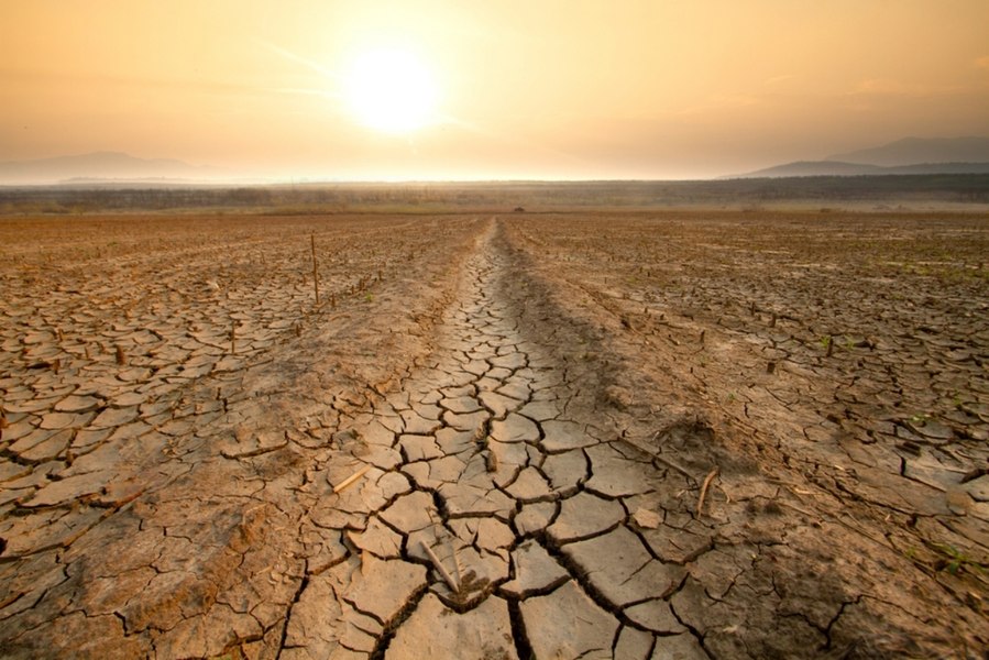&bdquo;Super El Ni&ntilde;o&rdquo; ar putea declanșa un val global de scumpiri alimentare cu efecte p&acirc;nă &icirc;n 2028, avertizează analiștii