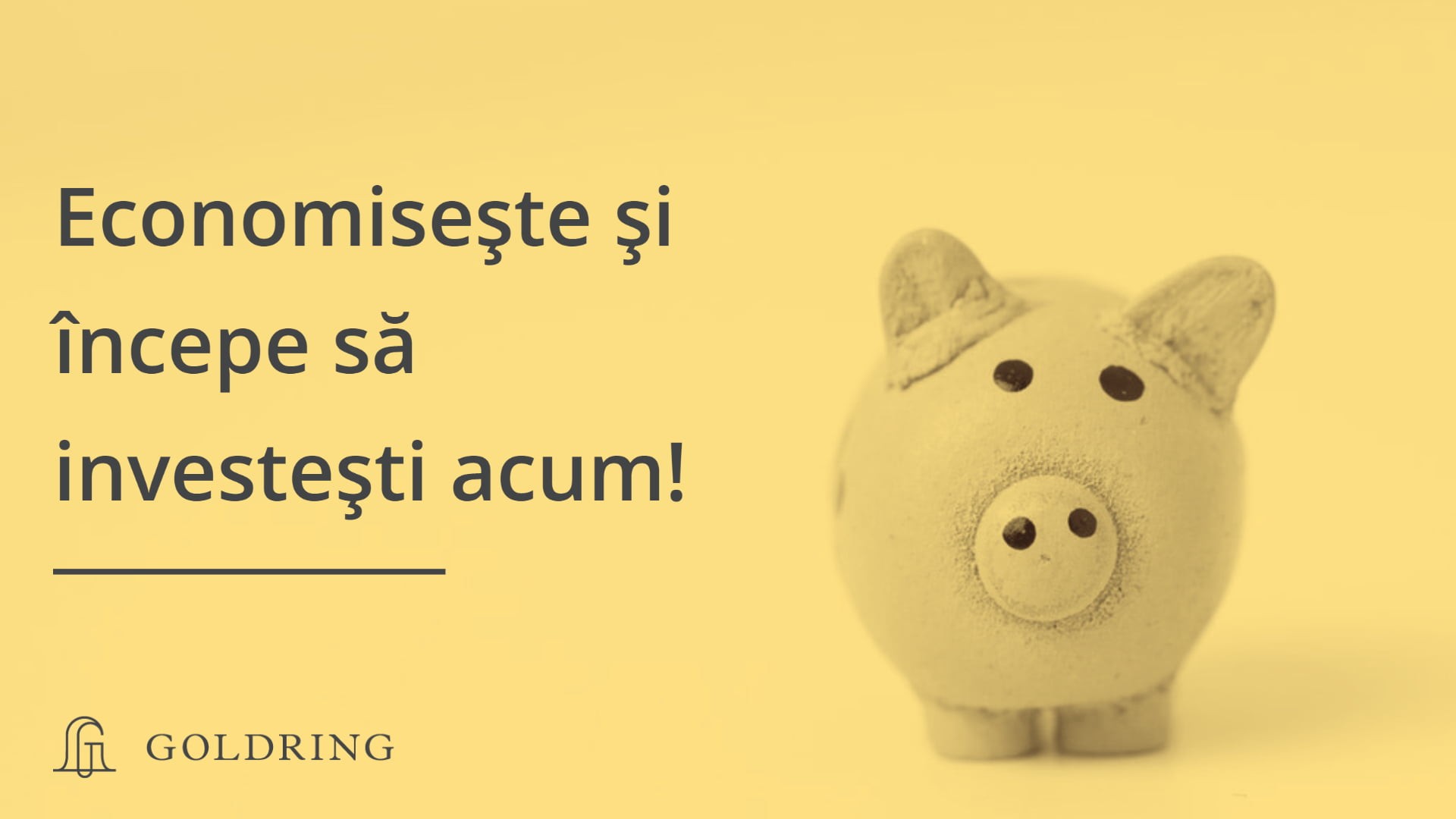 Economiile. Ce sunt și cum poți începe să investești?