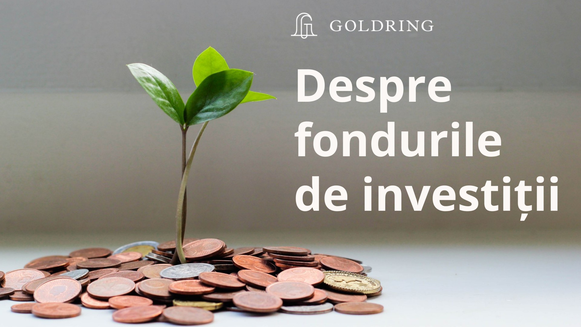 Despre fondurile de investiții