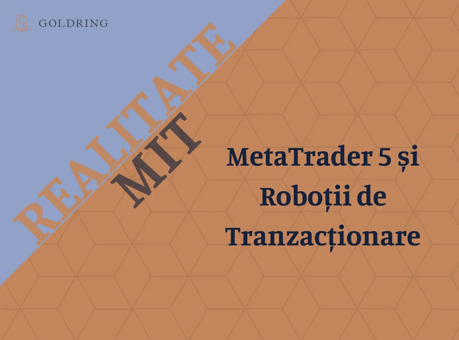 MetaTrader 5 și Roboții de Tranzacționare