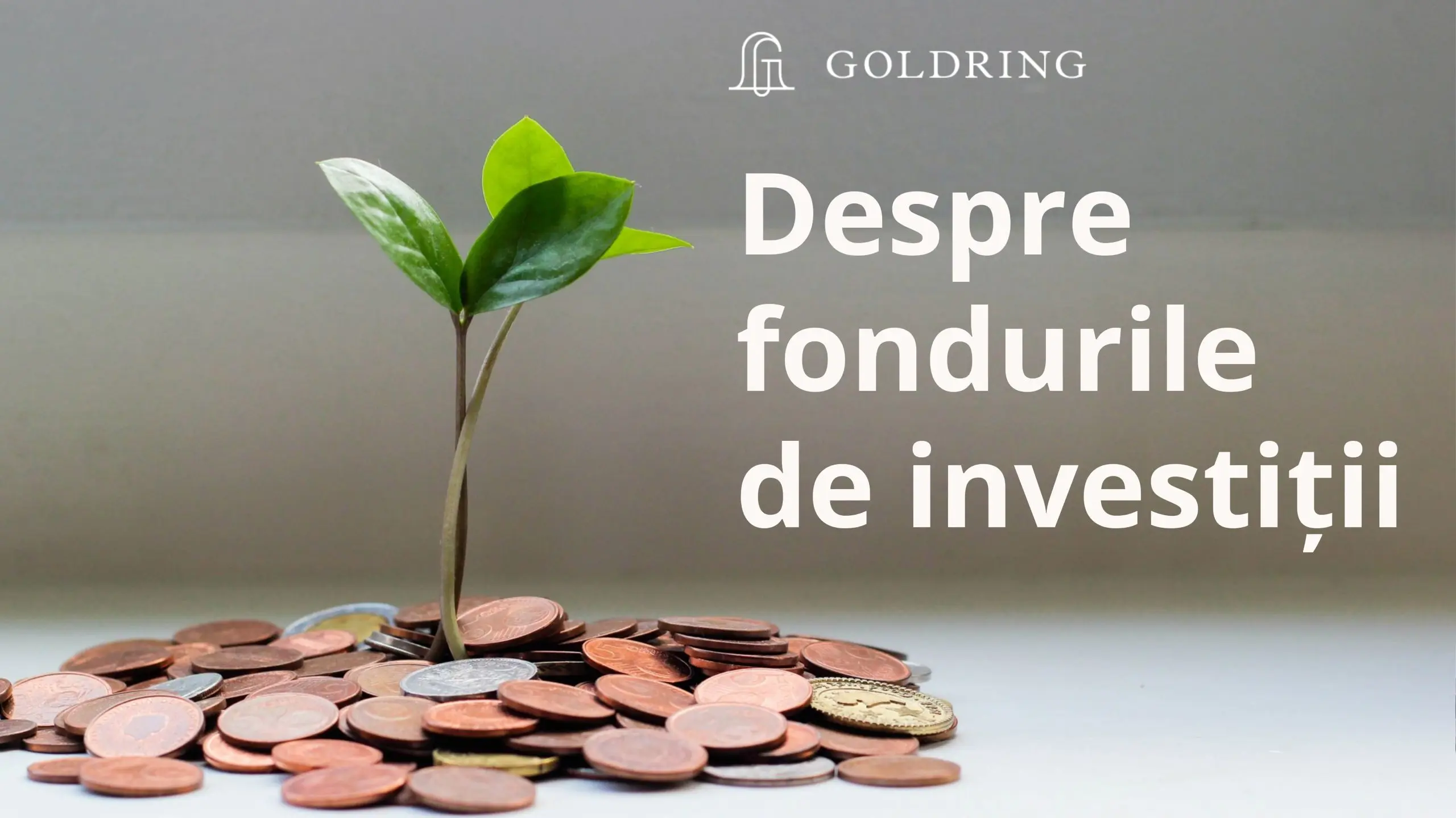 Despre fondurile de investiții