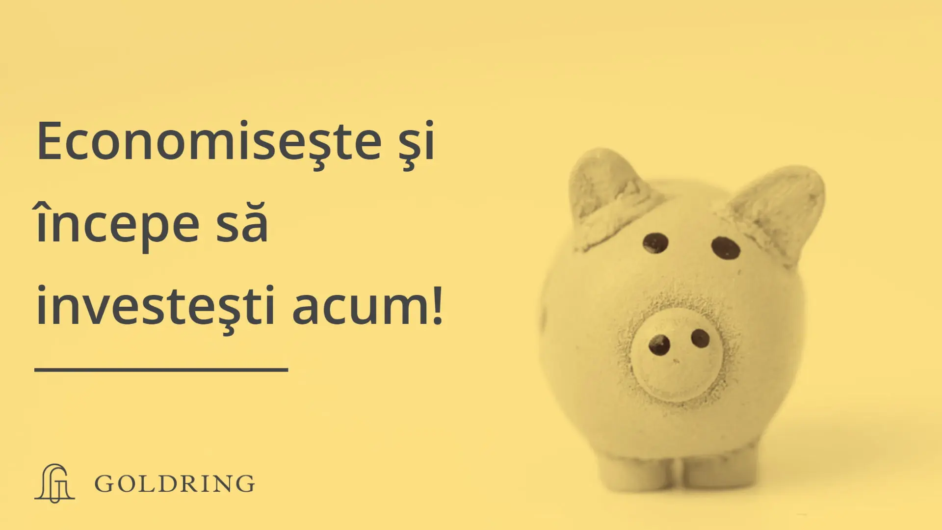 Economiile. Ce sunt și cum poți începe să investești?