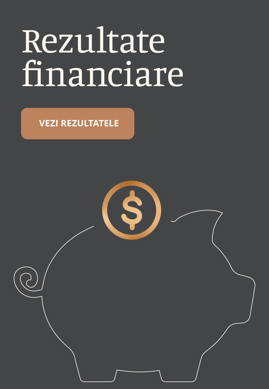 Sinteză rezultate financiare la Bursa de Valori București